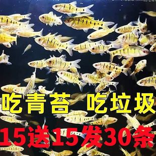15��15�l30��ˮ�^�p�͵͜��~�Ї����~��H�l�yС?�����~���~��