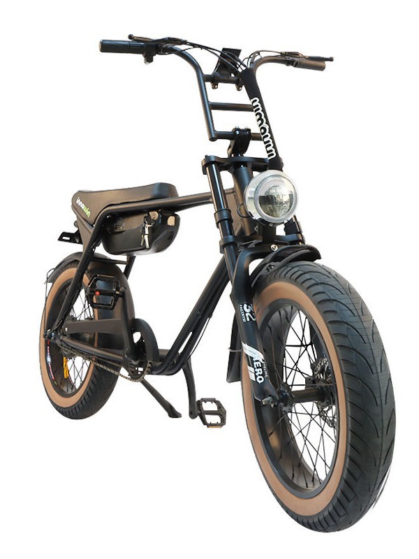 Bicicleta eléctrica transfronteriza LONGWISE 20 pulgadas neumático ancho bicicleta de nieve bicicleta de montaña asistida de doble cilindro freno de cilindro de carretera