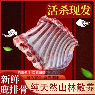 ¹�����r¹��F����ֻ÷��¹�Ź�¹�Ȏ�Ƥ�������r÷��¹�����r