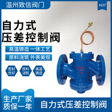 ����ʽ��������y ZYW-16C/P �T䓲��P� �����{���y �ӑBˮ����