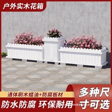 ������ľ����̼�����⻨��ͥԺ�Nֲ���L�����L�l���⻨�仨�۷���