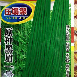 高产黑眉一号长豆角种子 高产豇豆青条早熟耐热纤维少好吃蔬菜种