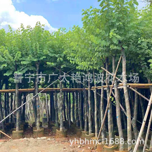 �V�|�Ռ���ֲȫ������׼t�����G�m�����G�����G���@�L�����е���