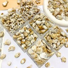 海洋海螺贝壳亚克力散珠diy饰品配件手工手链挂件手机链吊坠材料