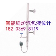 FRD803M-F11-0.6���ʽ����偠t����ҺλӋ