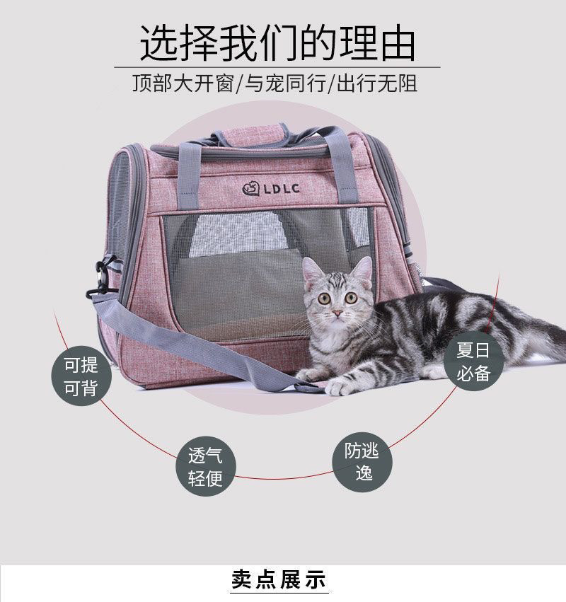 73e8ffc9-03b2-4203-a009-8e70dc78d43d.jpe