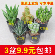 �����������J�C�f��ɽ����ֲ���k���������ݗ��ȥ��ȩ�_��������