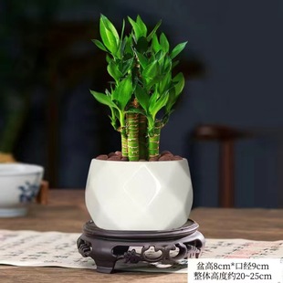 �ɻ���ˮ�໨��ˮ�B�Ĳ����F�D�\�񳣾Gֲ���k���҃ȾGֲ��������