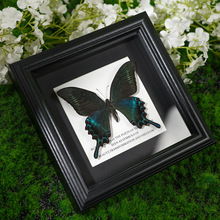 �����˱��[�� �ֹ�diy���նY��ҾӔ[���ɔ[�ɒ� ����ʽ���x���