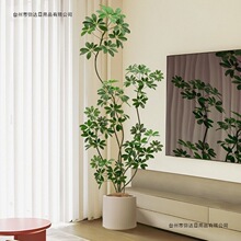 ���_ľ����پGֲ�߶��p�ݿ͏d�b����Դ����҃���ؔ[������ֲ��