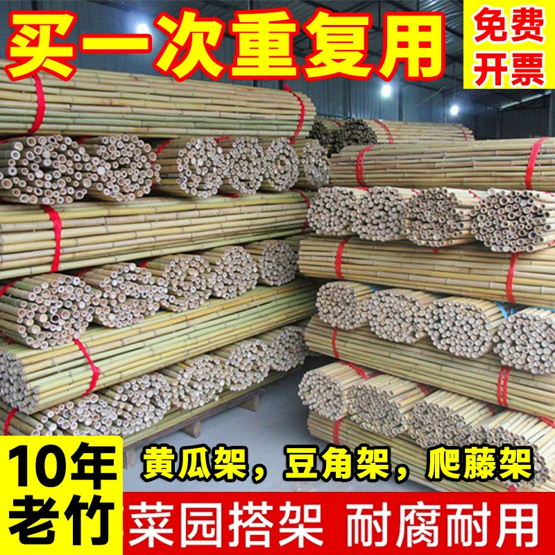 Стеллаж для огорода Перегородка Овощная стручок Трехметровая опора для рассады Двор Бамбуковый столб Бамбуковый консервант и защита от насекомых Бамбук