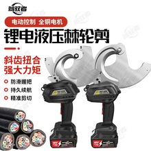 ��݆����|���oˢ늙CXEC- 50M��̖�X݆ʽ�����~�z�b��|���о��