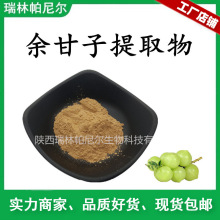 余甘子提取物 余甘子粉 比例萃取量大从优 余甘子浓缩粉 包邮