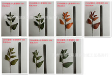 ���R�d�S�����l����Gֲ�����~�zӡ�~������F���������~֦�l