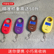 外贸手提秤电子秤便携迷你小称家用钓鱼小物件称重公斤/磅/市斤两