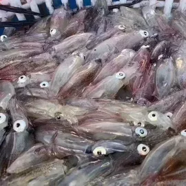 水产干货类;鱼类;鲜活水产