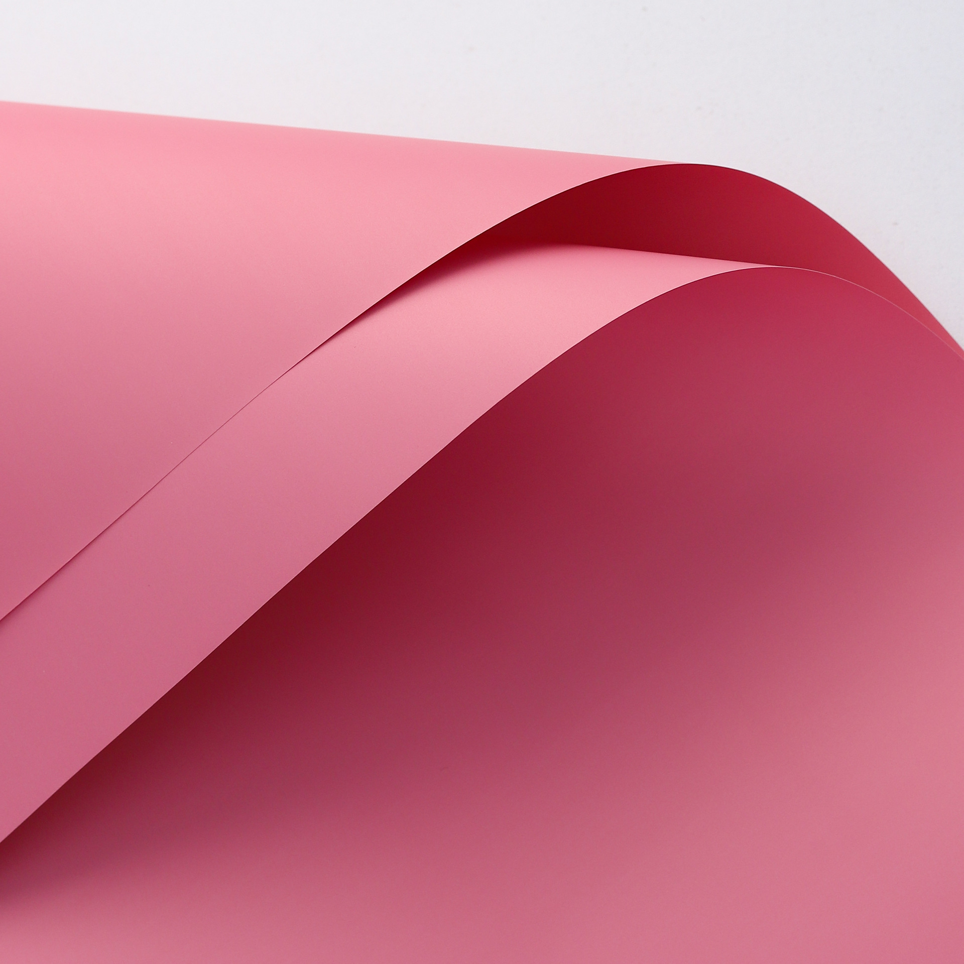 46 polvo Xilan; 56cm,20 hojas