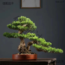 �҃ȿ͏d�ɘ�ӭ�����辰�����ɘ��쾰С�ɘ����Ի����������ɘ�