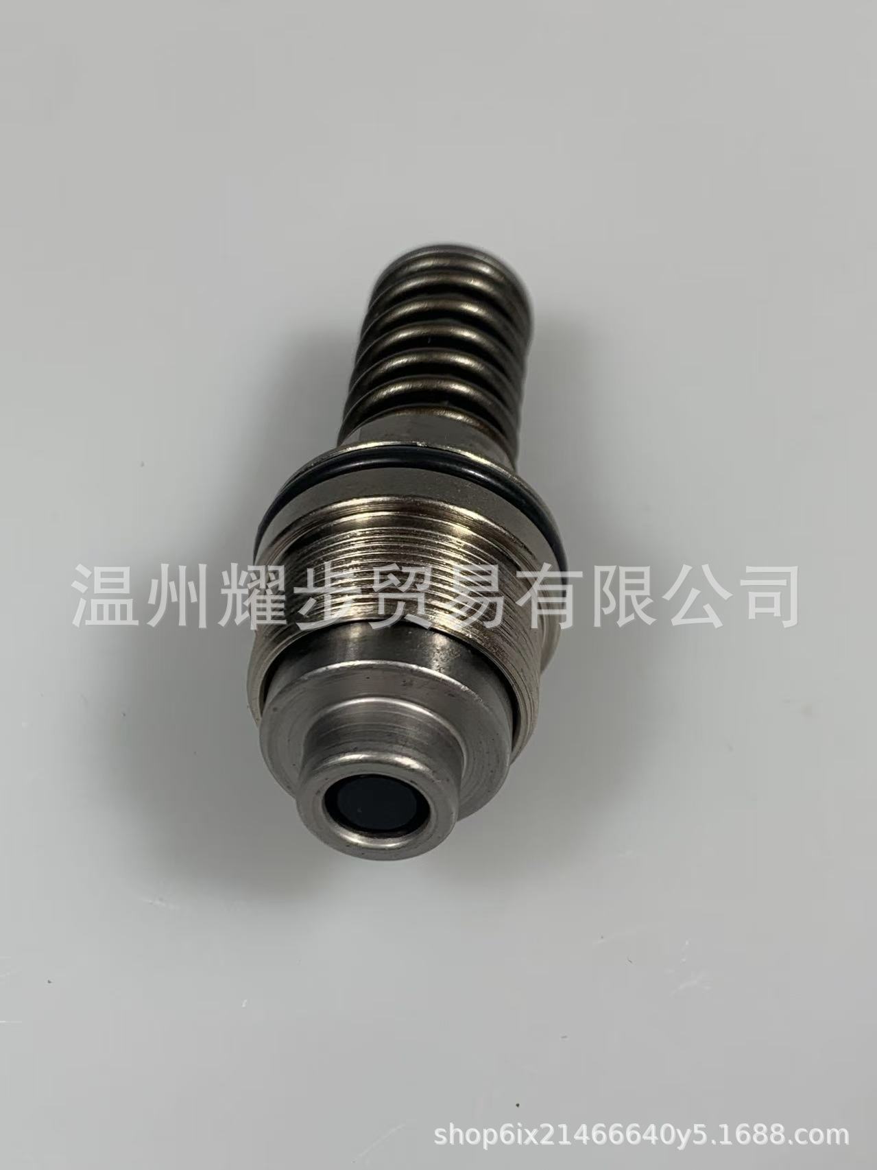 Automobile High-Pressure Fuel Pump Parts C6Ea1132.0T Spring Oil Seal Plunger Assembly 06F127025Lcx7