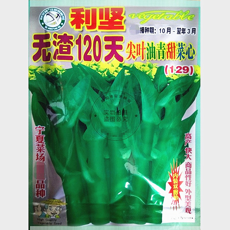 Wholesale Vegetable Seeds: Lijian Residue-Free 120-Day Pointed Leaf Choy Sum Seeds, Sweet Choy Sum, Oil Choy Sum 15g