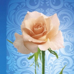 3D���ƿ��S�ң�����3D���ƿ���3D׃�õ��ƿ���3D���w���b����ӡˢ