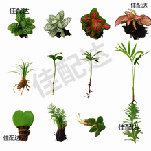 ̦�\΢���^DIY���� �W�y�݆��wֲ���r��Gֲ���B��ˮꑸ��쾰ާ�