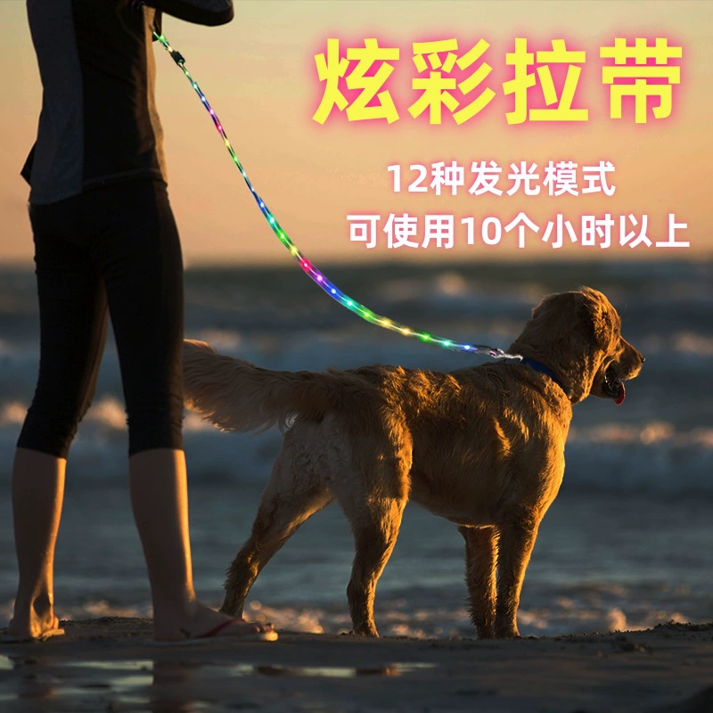 Цветной светящийся поводок для собак с изменяющейся подсветкой, USB-зарядка, большой емкости, светящийся ремешок для выгула на улице