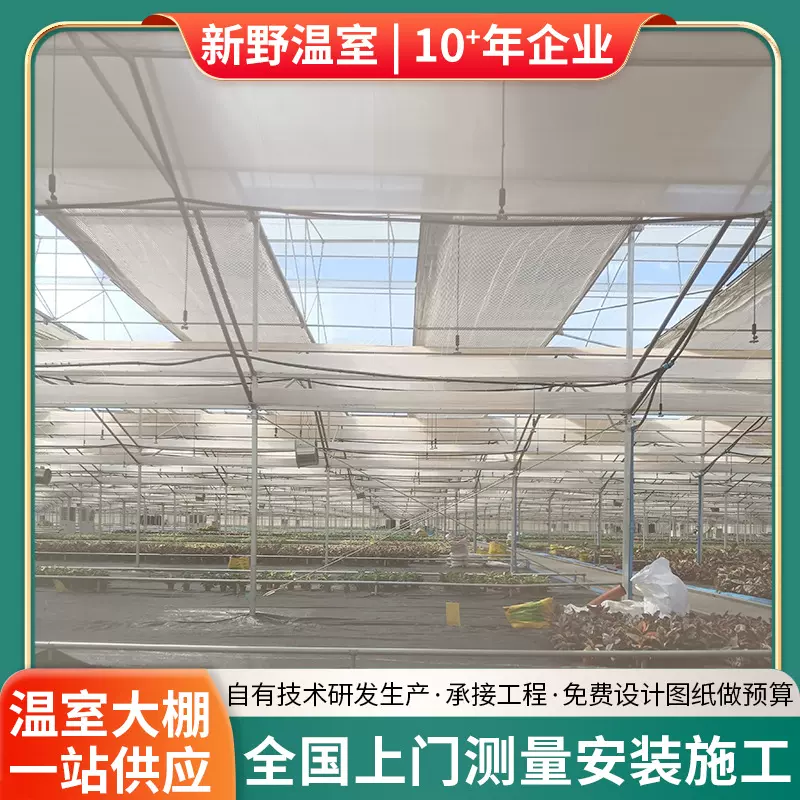 厂家生产8432连栋温室大棚轻钢结构承载力大温控来图设计热镀锌