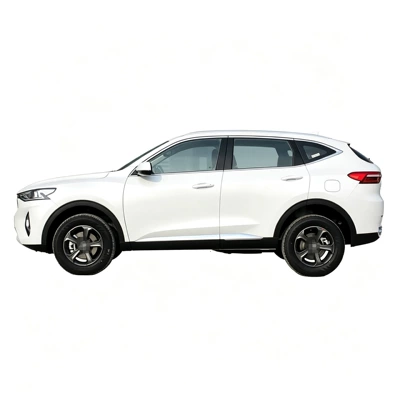 Suitable for 2019 Haval F7, Rain shield