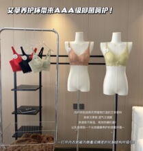 【斯蔓雾屿】高端艾草养护杯无钢圈小胸调整塑型矫正内衣