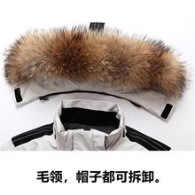 ��q����Ů���L��2025�����¿�Ӻ��n�泱������ͬ��b��H����