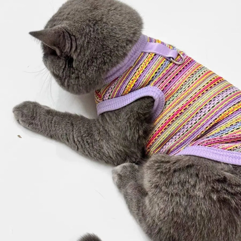 Perros de mascotas primavera y verano ventilador hueco chaleco de trenzado ropa delgada multicolor dorada capa azul muñeca de gato