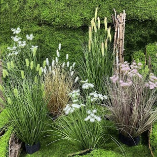 ���湷β����Ȼ�L�쾰����Gֲ���[�� ����Ī��֮�������JȔ��