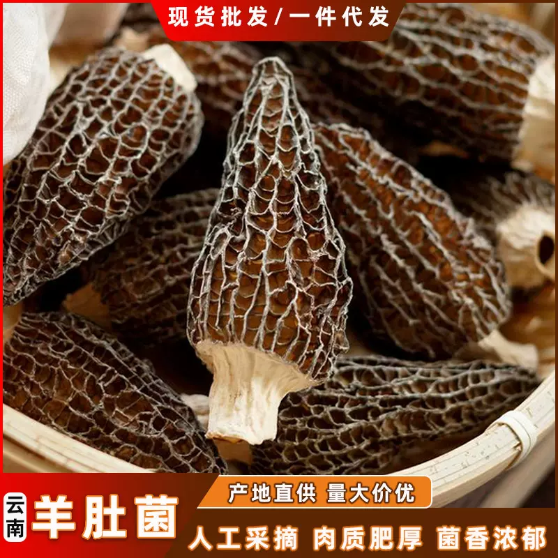 羊肚菌干货现货批发云南特产剪脚食用菌冻干煲汤食材菌汤包菌菇
