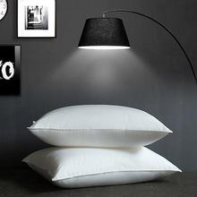 �Ƶ��e�^�������^оȫ�ް�ɫ���^�����tԺ�W����z�q�w����о���l