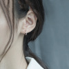 Small sophisticated earrings, silver 925 sample, Korean style, simple and elegant design