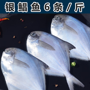 �y�K�~���K�~�����r�����K�~ƽ�~�c�~���K�~���rˮ�a���ô��l