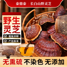 LɽҰ`֥֦Ʒ֥Ұ`֥șĸ؛ɽľ`֥ݾ