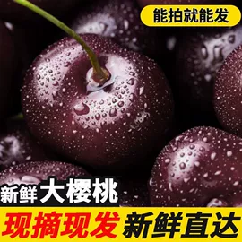 月饼;传统糕点;软糖