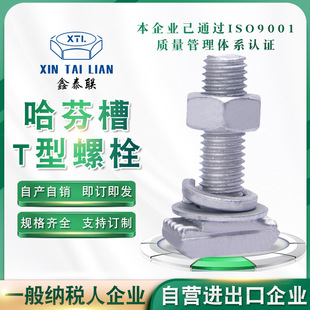 �������Ҳ�t����˨��\T����˨�����б�T���ݽz���X�A��۵�