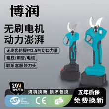 跨境新款无刷锂电高空修枝剪电动高枝伸缩剪修剪园林电动工具