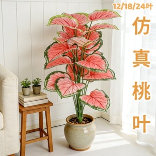���R�d����Gֲ���Լt�G�}���~�������~�����b���٘�ֲ��[��