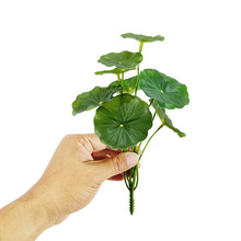 Gֲ ~ ~~XݾG}Ҿb ֲ҃