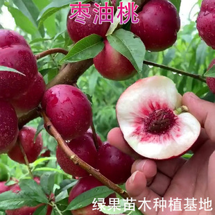 �������� �����Ҙ��� �޽����� ���闗���ҹ�����ľ���@�Nֲ����