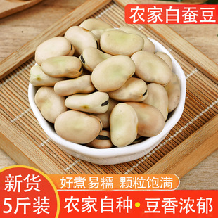 ��؛���Q�������r�Ҹɺ�������s�Z���Q���_�h����Ƥ�Q��