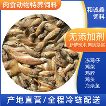 �S�ҹ��������{�~���{���B���ͨ���~��������s�~��ʳ�������