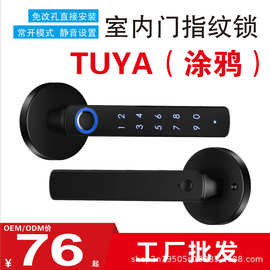 跨境外贸智能指纹把手锁涂鸦蓝牙室内执手TTLOCK木门电子通通锁