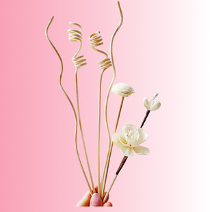 Fire-Free aromatherapy rattan volatile stick flower branch suit sola decoration perfume diffuser DIY accessories