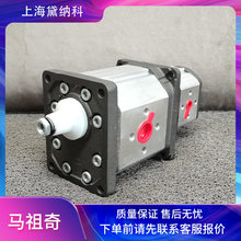 RGHP3A-D-60X݆MARZOCCHIҺCHPϵM