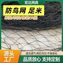 定制 机场防鸟网 果园大棚防虫网 防鸟网 黑色尼龙防鸟网跨境货源